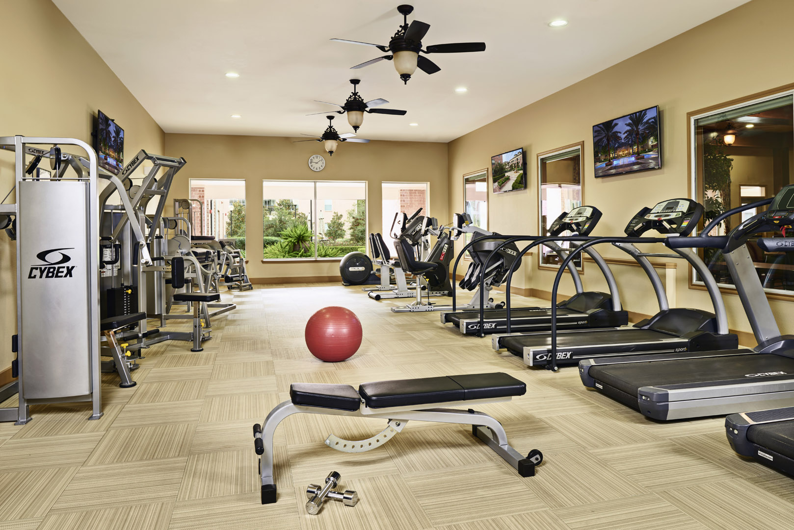 Amenities - Cardio and Free Weights